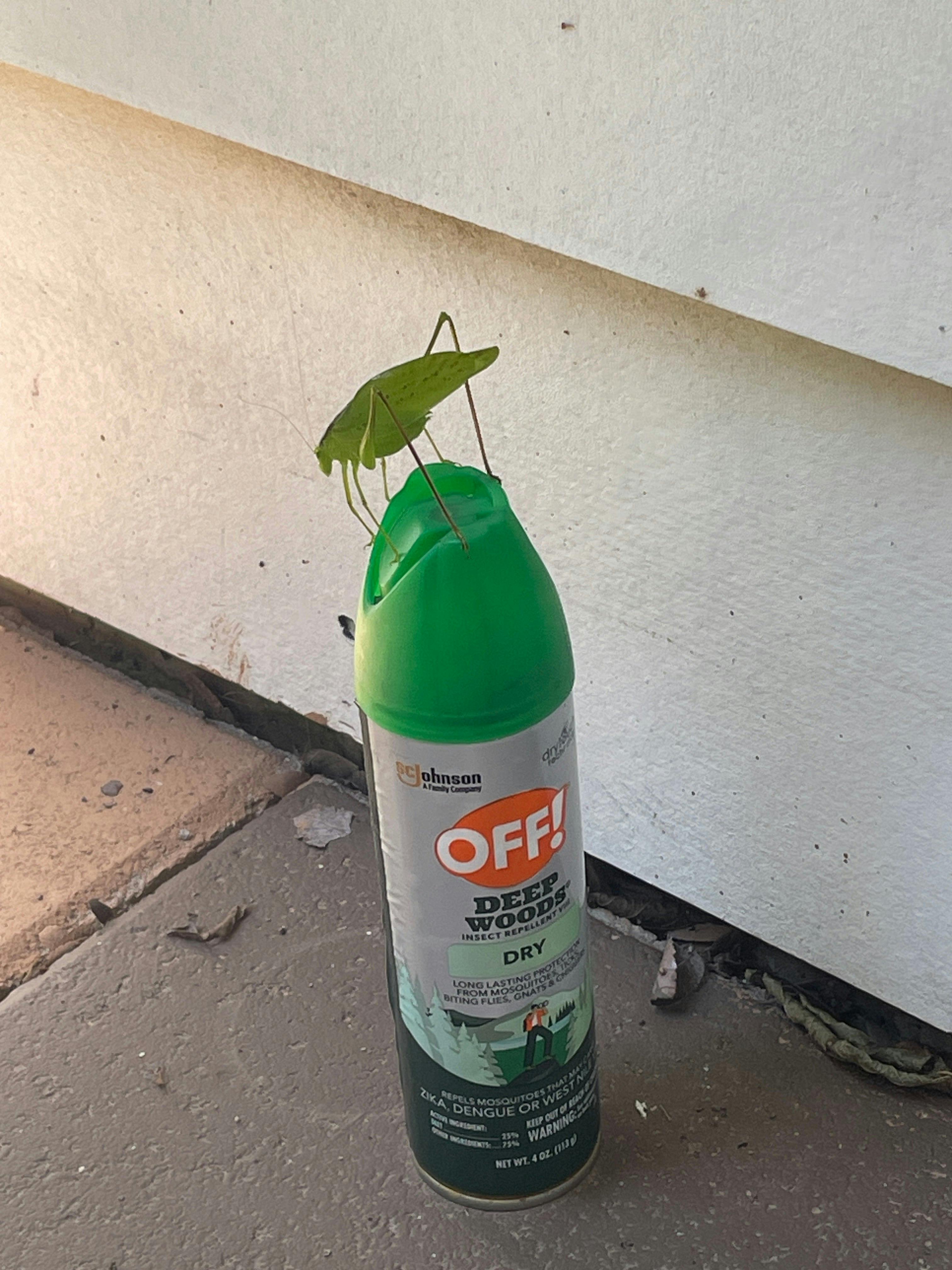 A green cricket is standing on a can of “OFF!” bug spray.