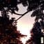 Album art for "Summer In Silent Places" by "2 Mello"