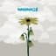 Album art for "Mmhmm10" by "Relient K"